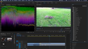 lam-clip-bang-adobe-premiere