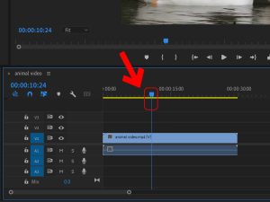 lam-clip-bang-adobe-premiere