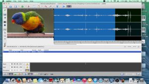 phan-mem-chen-nhac-vao-video